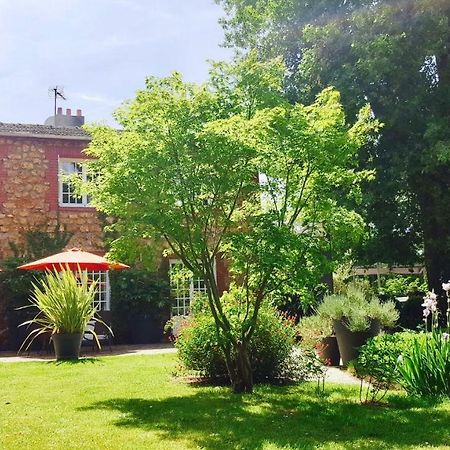 Bed & Breakfast La Clepsydre Fontenay-aux-Roses Eksteriør bilde