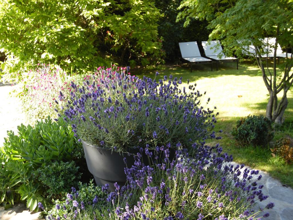 Bed & Breakfast La Clepsydre Fontenay-aux-Roses Eksteriør bilde
